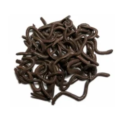 Behr Ringelwurm Natur dunkelbraun 33 Stk.