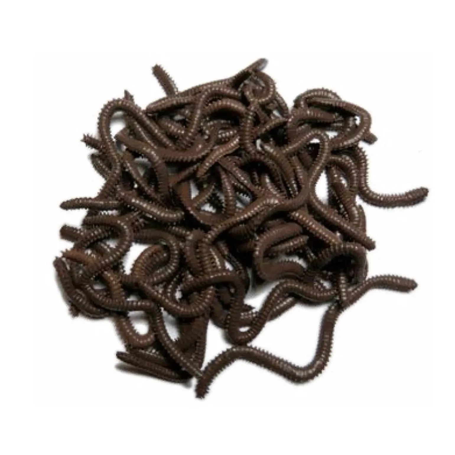 Behr Ringelwurm Natur dunkelbraun 33 Stk.