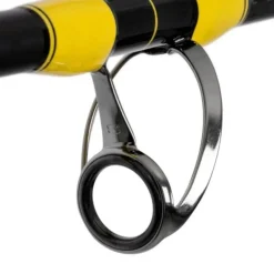 Black Cat Freestyle Pro Bank 2,80m 150-300g Welsrute