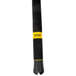 Black Cat Perfect Passion XH-S 2,40m 600g Allround  Welsrute