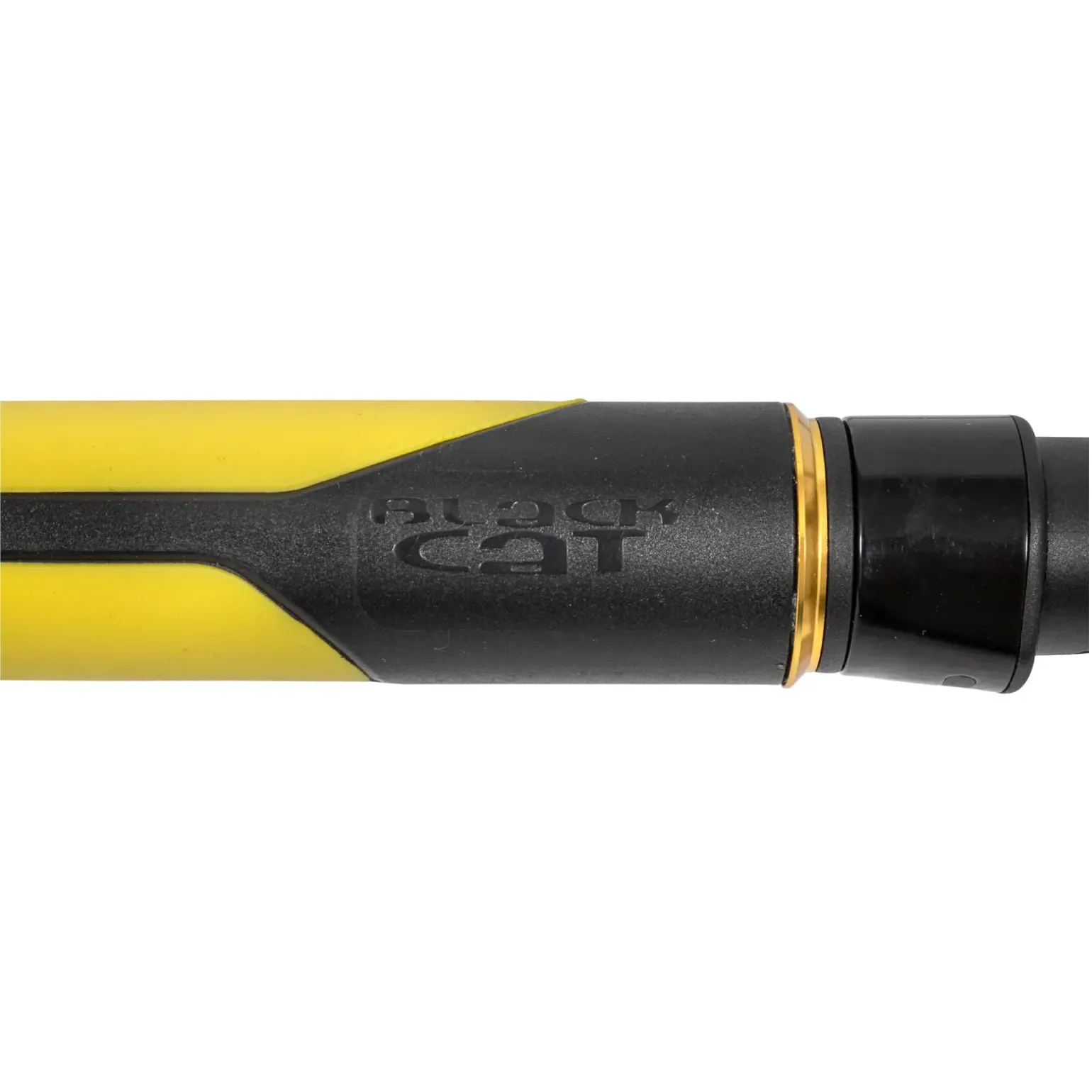 Black Cat Perfect Passion Vertical 1,80m 230g Welsrute