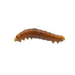 Capt`n Greenfin BOOGIE WORM Kafi Bienenmade