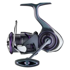 Daiwa 25 Prorex MQ LT2000 Spinnrolle