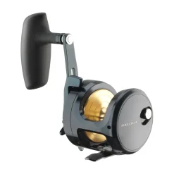 Daiwa 25 Saltiga (G) 35L Multirolle