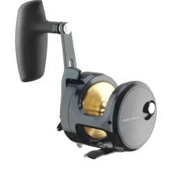 Daiwa 24 Saltiga (G) 15L Multirolle