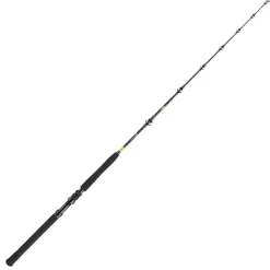 Daiwa BG Big Game 1.68m 20-30lbs Bootsrute