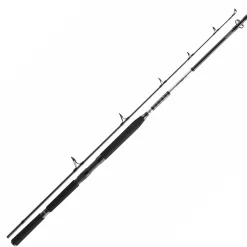 Daiwa BG Popper 2,30m 40-150g Meeres-Spinnrute