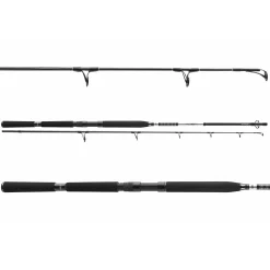 Daiwa BG Popper 2,30m 40-150g Meeres-Spinnrute