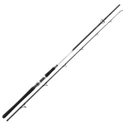 Daiwa Grandwave 2.40m 150-300g Dorsch-Meeresrute
