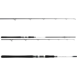 Daiwa Grandwave 2.40m 150-300g Dorsch-Meeresrute