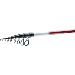 Daiwa Ninja Bolo 6m 25g Bolognese-Rute