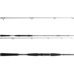 Daiwa Seahunter X 2.70m 100-200g Dorsch-Pilkrute