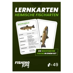 Fishing-King Fisch-Lernkarten