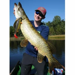 Jackson The Trout 23cm Brown Trout Gummifisch