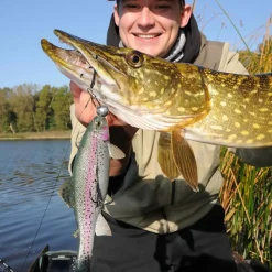 Jackson The Trout 23cm Brown Trout Gummifisch