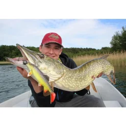 Jackson The Trout 23cm Brown Trout Gummifisch