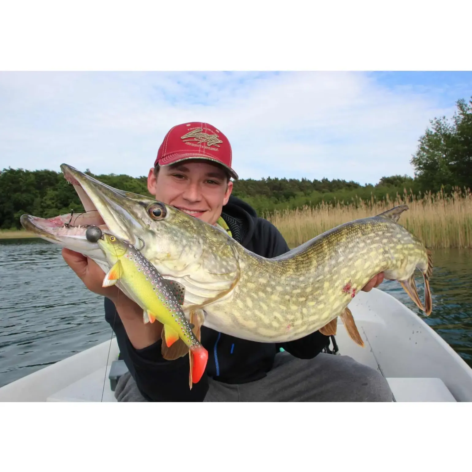 Jackson The Trout 23cm Brown Trout Gummifisch