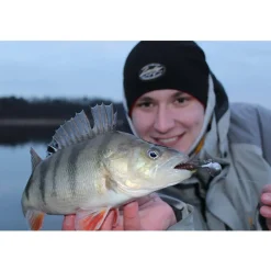 Jackson The Worm 15,0cm Light Brown Gummiköder