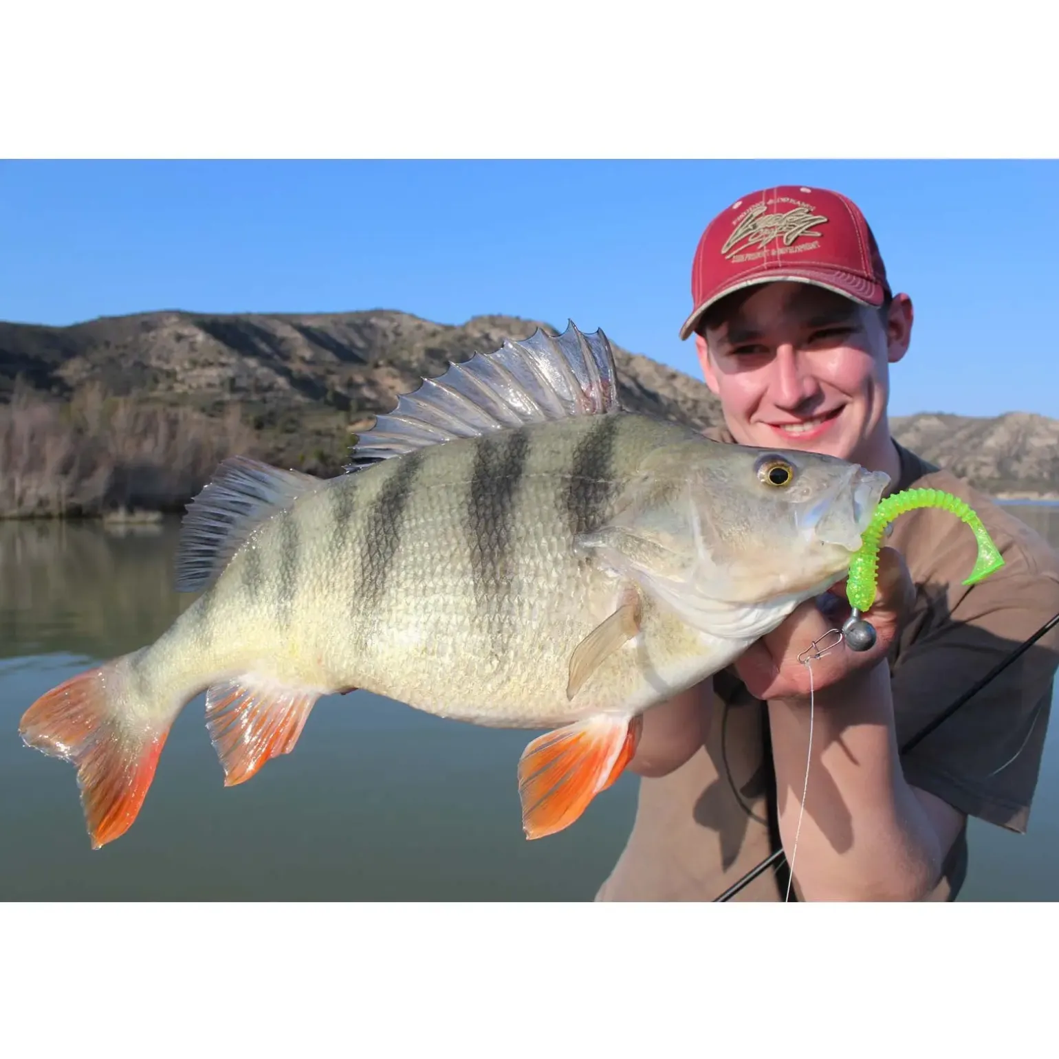 Jackson The Worm 15,0cm Light Brown Gummiköder