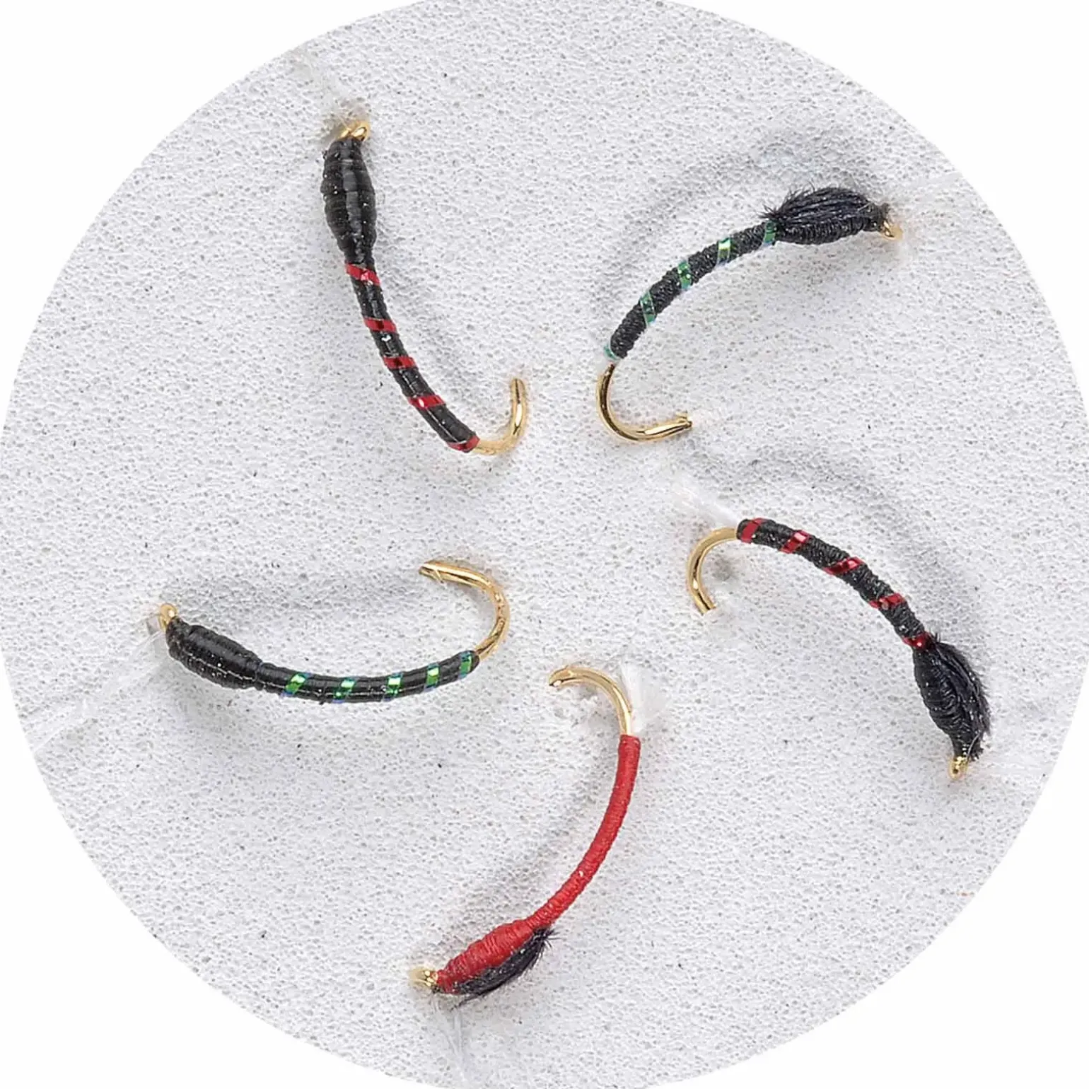 Jenzi Premium Hegene Cesar Gr.14 – 5 Nymphen