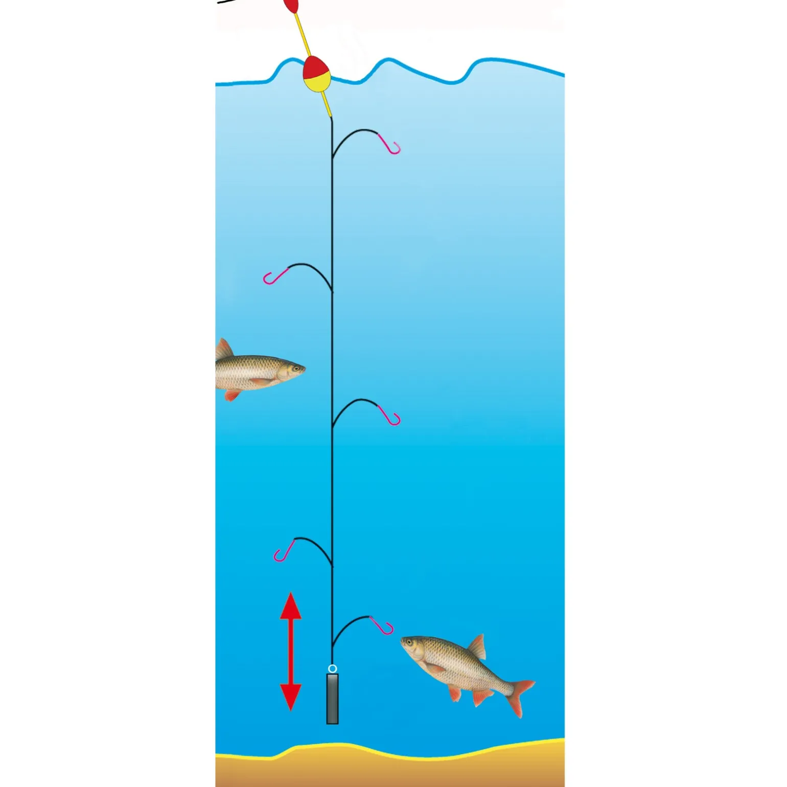 Jenzi Premium Hegene Cesar Gr.14 – 5 Nymphen