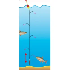 Jenzi Premium Hegene Emil Gr.14 – 5 Nymphen