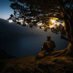 Ledlenser ML6 WarmLight Laterne