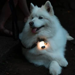 Ledlenser ML4 WarmLight Laterne