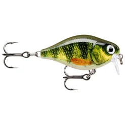 Rapala X-Light Crank Shallow Runner 03 Live Perch Wobbler
