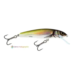 Salmo Minnow 5cm F Holo Bleak Wobbler