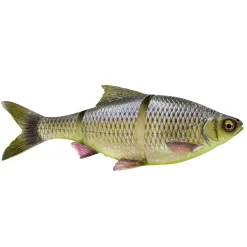 Savage Gear 3D LT Roach 25cm 216g Sinking Hugo Gummifisch