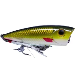 Seika Pro Little Splash 6,0cm 8,0g Chub schwimmend Popper