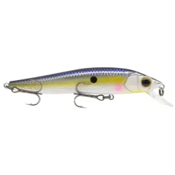 Seika Pro Veitwitch Junior 9,5cm 11,5 g Ablette Wobbler