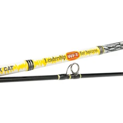 WFT Catbuster Bank 3,50m 200-1200g Welsrute