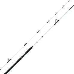 WFT Coastal Jigger Salzmeister 2,75m 40-160g Meeresrute 2-Teilig