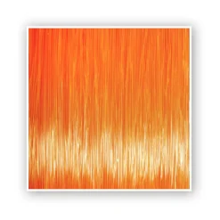 Zebco Trophy Forelle 0,20mm 300m TOP Angelschnur