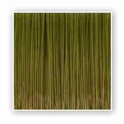 Zebco Trophy Hecht 0,35mm 300m TOP Angelschnur