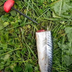 Zeck DB Pop Up Kit 3pcs Auftriebskörper