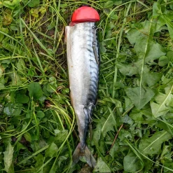 Zeck DB Pop Up Kit 3pcs Auftriebskörper